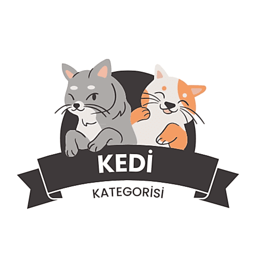 Kedi