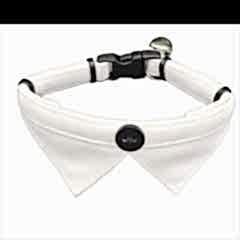 Jooys Kadife Zilli Fularlı Kedi Boyun Tasması