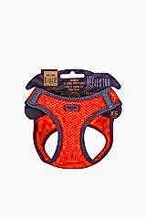 Havalı Dokuma Reflektör Küçük Irk Köpek Göğüs Tasması Xsmall Turuncu 30-34 Cm - Petshopundan