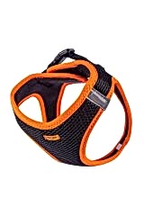 Havalı Dokuma Neon Küçük Irk Göğüs Tasması Turuncu 42-48 Cm (ANG-L)