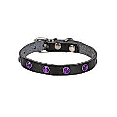 Cattie Gerçek Deriden Taşlı Kedi Boyun Tasması  1x20-23 Cm