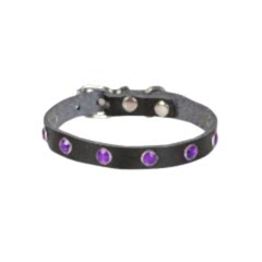 Cattie Gerçek Deriden Taşlı Kedi Boyun Tasması 1x16-20 Cm