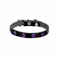 CATTİE TAŞLI DERİ KEDİ TASMASI SİYAH 1,5X27-33CM