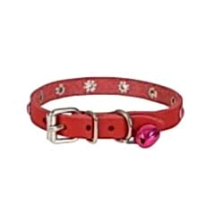 CATTİE TAŞLI DERİ KEDİ TASMASI KIRMIZI 1X16-20CM