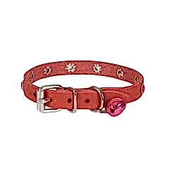 CATTİE TAŞLI DERİ KEDİ TASMASI KIRMIZI 1,2X23-28CM