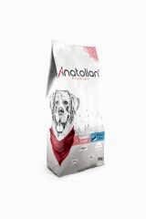 Anatolin Premium Somonlu Yetişkin Köpek Maması 18 Kg