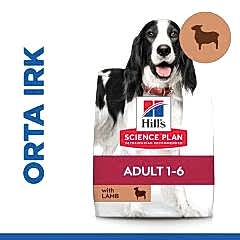 Hill's Adult Medium Lamb Rice Kuzu Etli ve Pirinçli 14 kg Yetişkin Köpek Maması