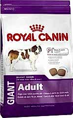 Royal Canin Giant Adult 15 kg Dev Irk Yetişkin Köpek Maması