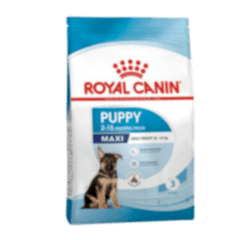 Royal Canin Maxi Puppy Büyük Irk Yavru Köpek Maması 15kg