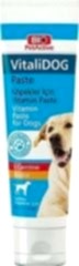 Bio PetActive Vitalidog Paste 100 ml Köpek Vitamin Macunu