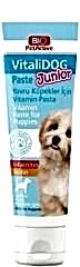 Bio PetActive Vitalidog Junior Paste 100 ml Köpek Vitamin Macunu