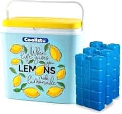 Coolist CLB30LM 30 Litre Limon Desenli Buzluk + 3 Adet 400gr. Buz Kaseti